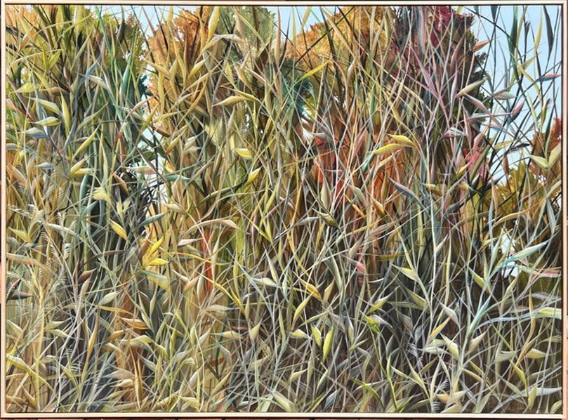 abstract grasses