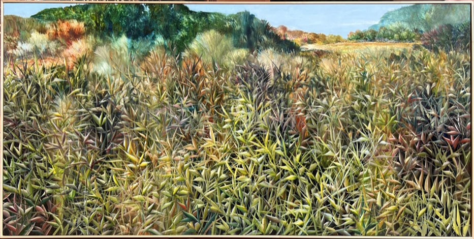 grass landscape