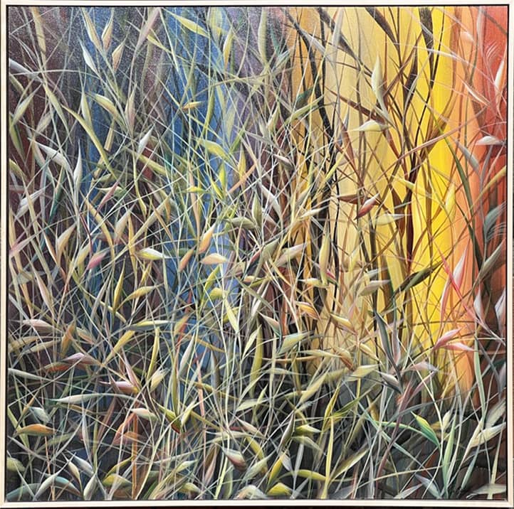 abstract colorful grasses