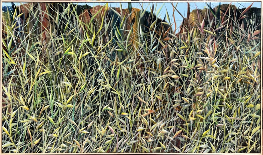 landscape with grasses