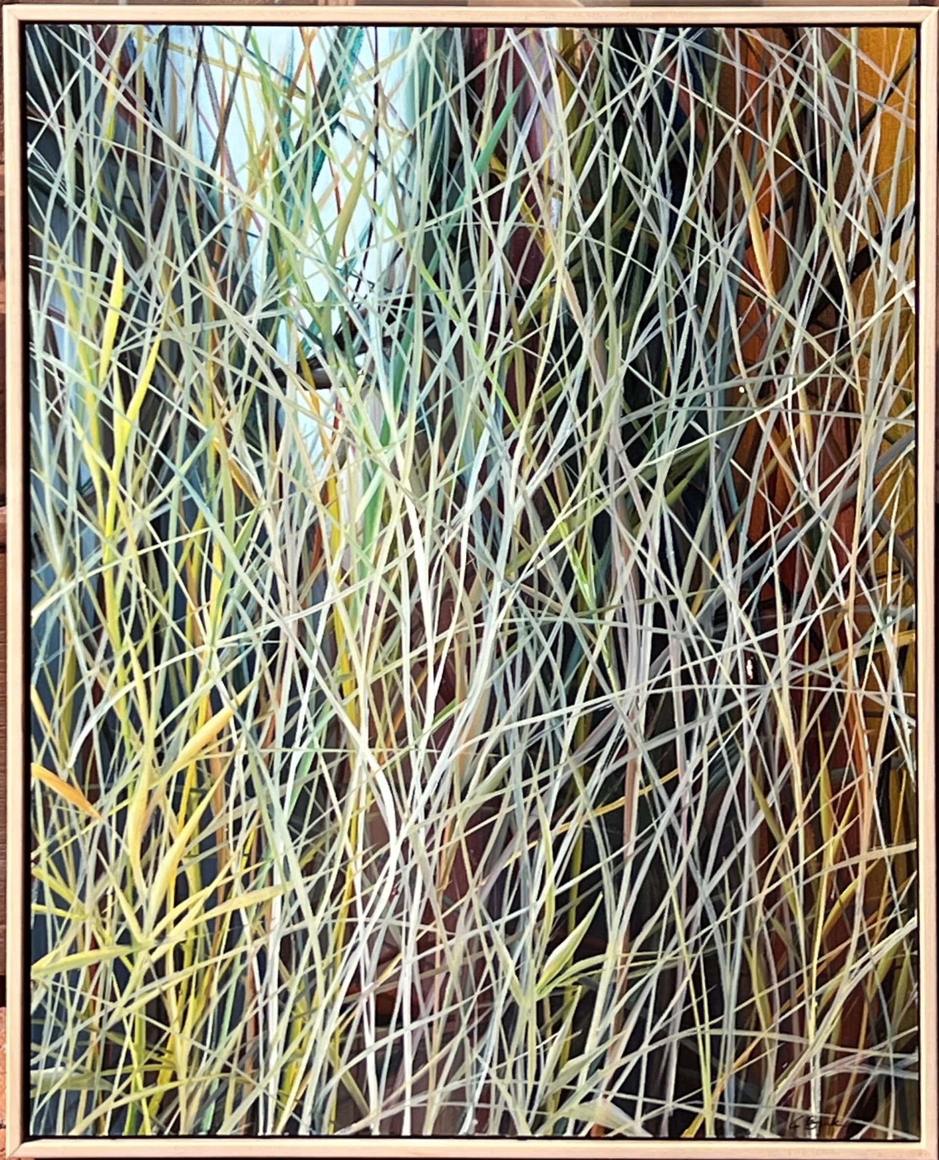 detail of reed grasses